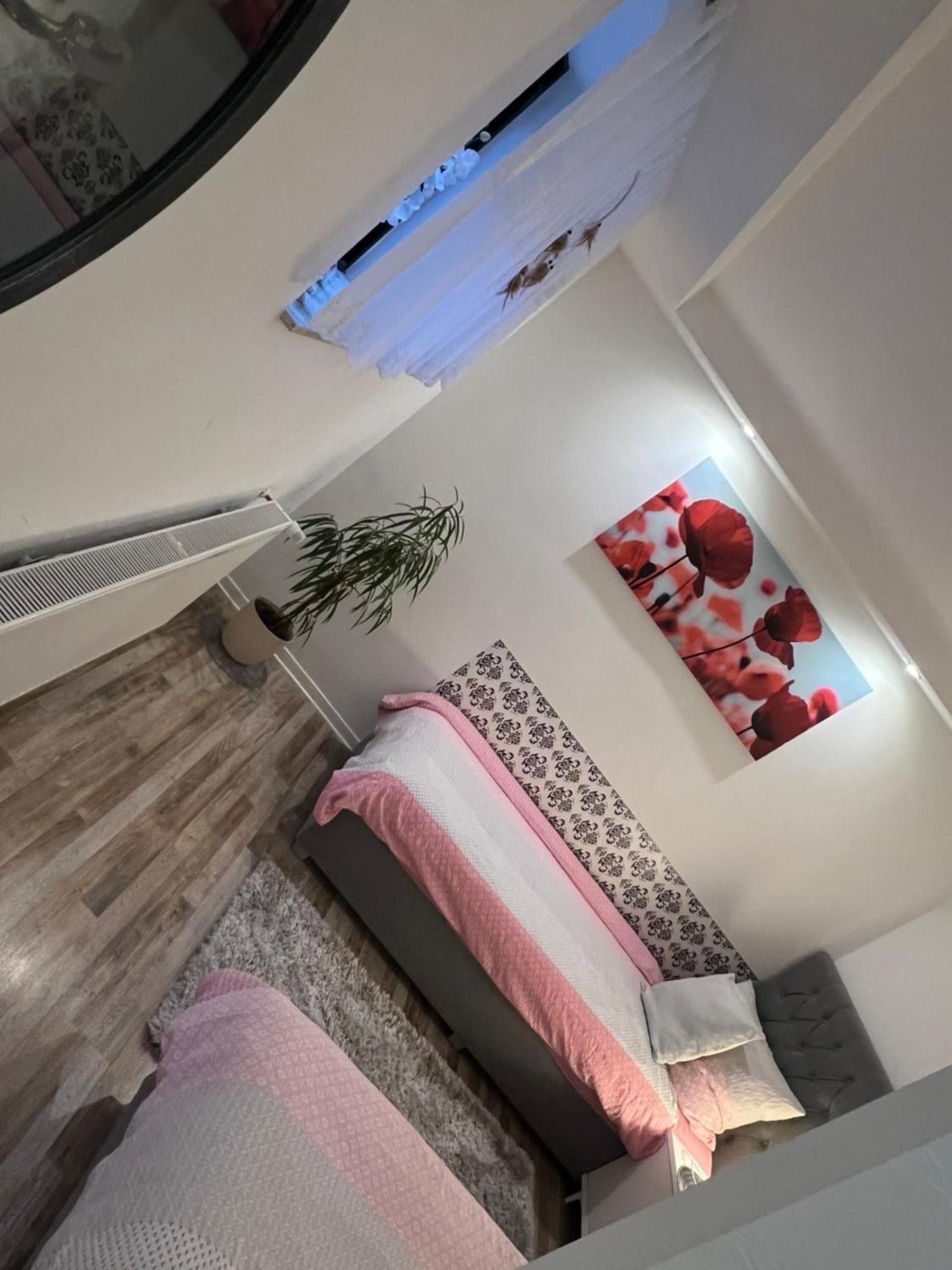 Beti 2 Appartement